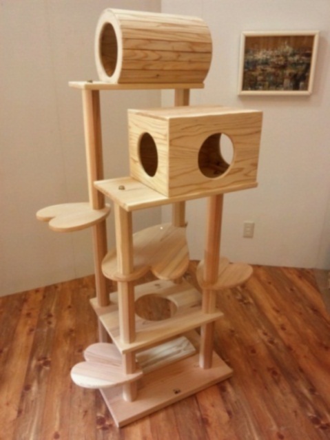 tree_house_wide[1].jpg